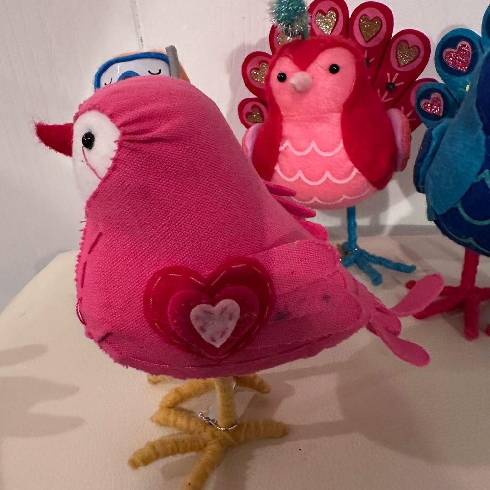 Colorful Bird Set - Picture 4 of 7